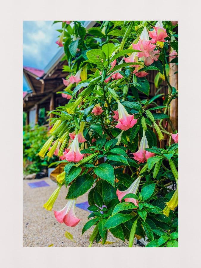 Cabanas Lamaite ซามารา ภายนอก รูปภาพ